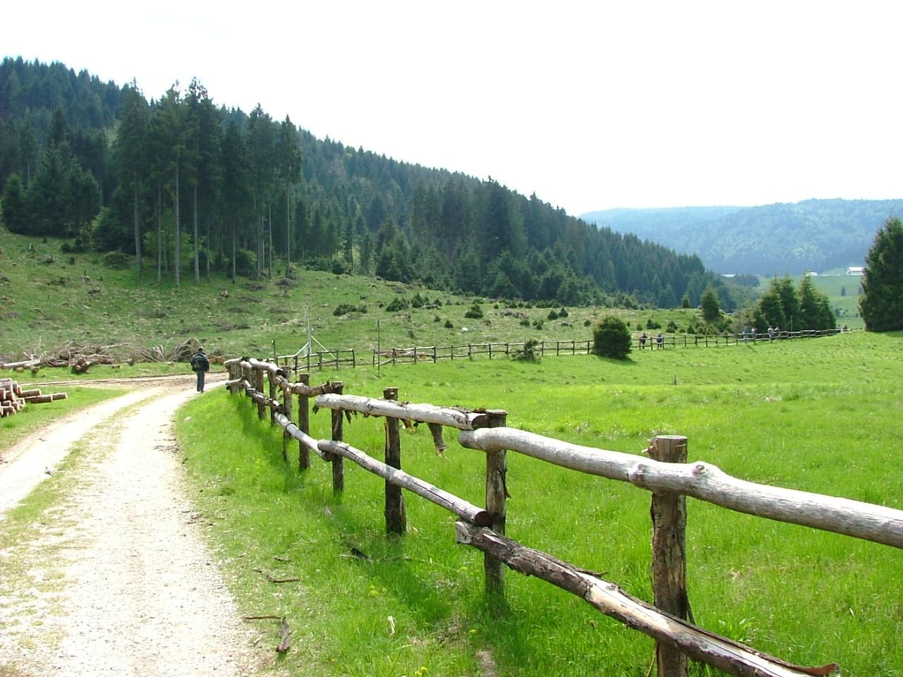 Martedì 24 Giugno